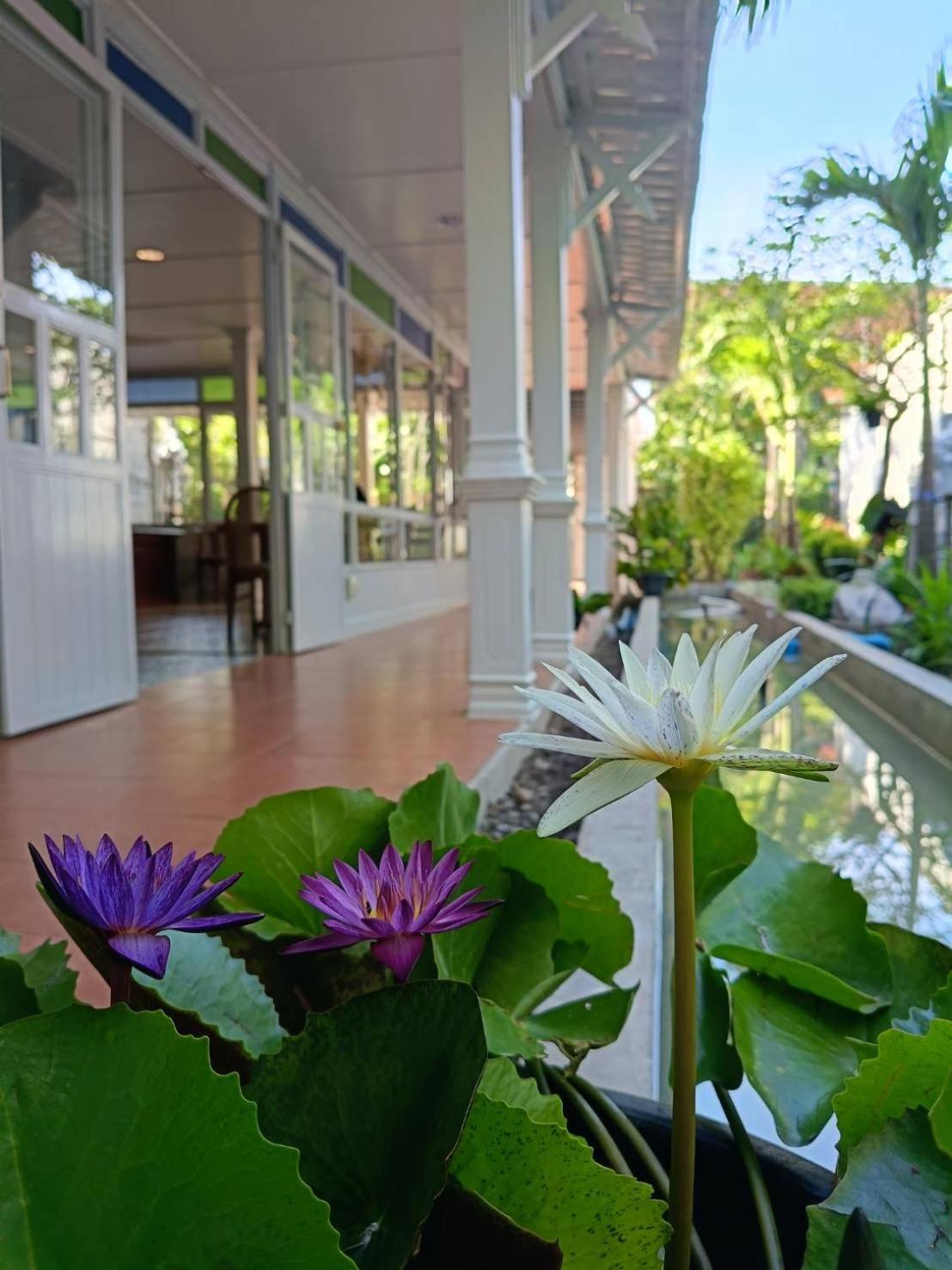 Hotel Baan Debtida Bangkok Exteriér fotografie